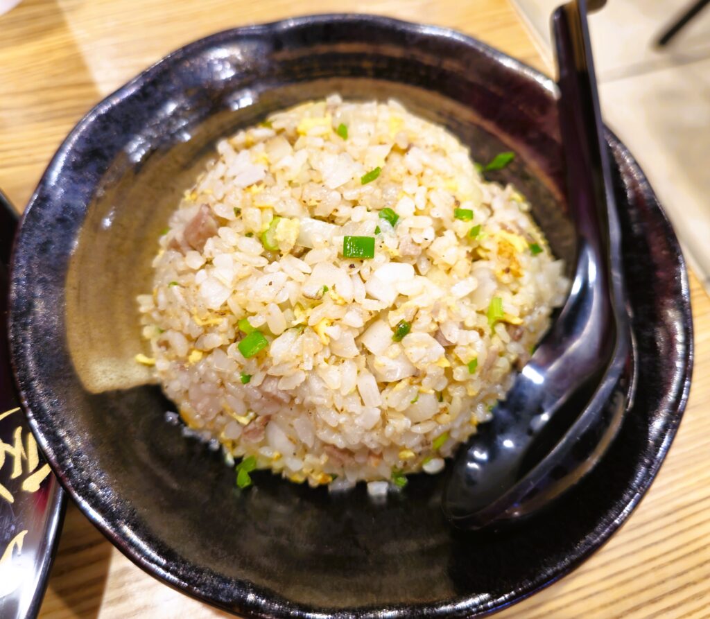 Fried rice with egg, green onion, onion, pieces of pork