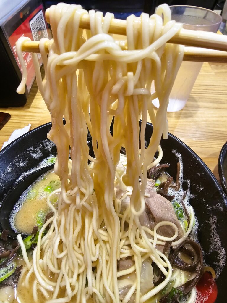 The noodles in the bowl of tonkatsu