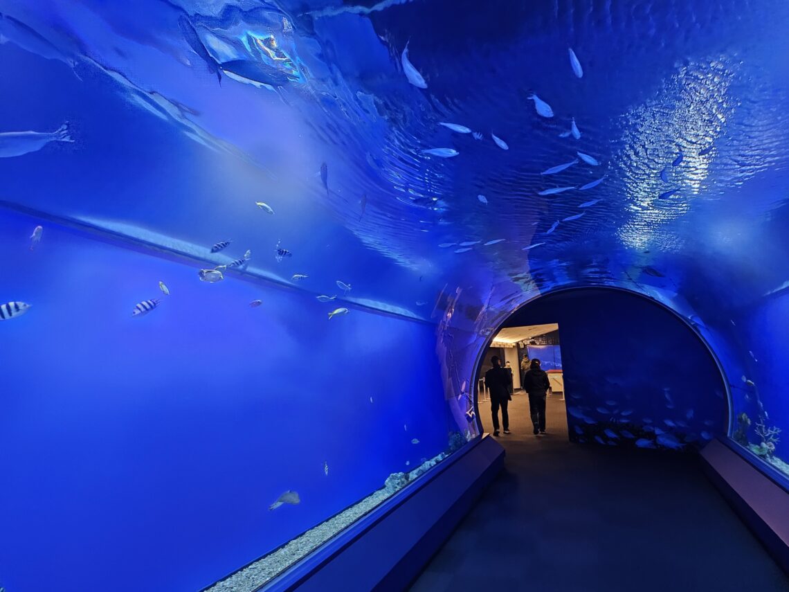 Osaka Aquarium Kaiyukan: One Of The Best Aquariums In Japan - Fly Right ...