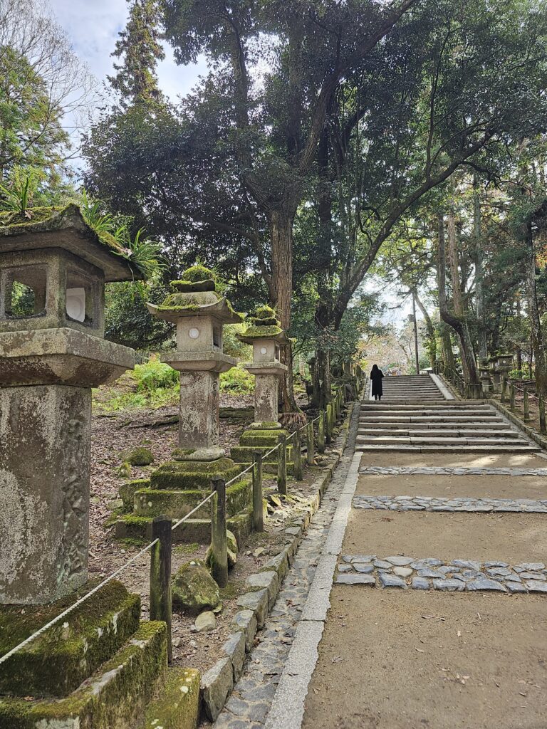 Kasuga Taisha is one of the top things to see during a day trip to Nara